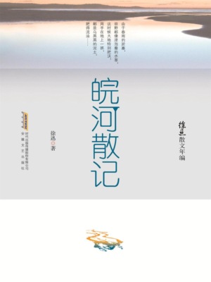 徐迅散文年编：皖河散记