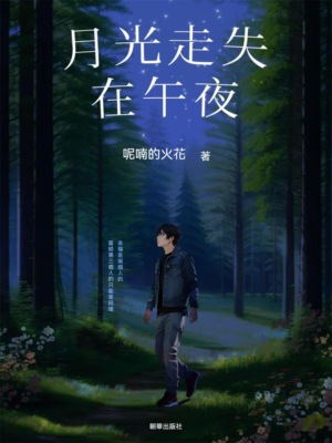 月光走失在午夜