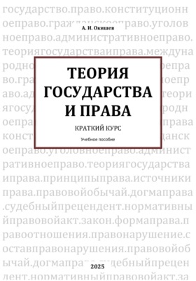 Теория государства и права. Краткий курс