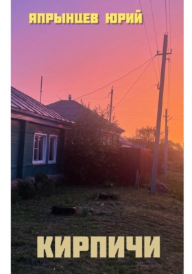 Кирпичи