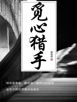 觅心猎手