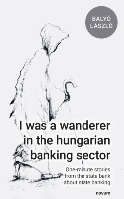 I was a wanderer in the hungarian banking sector