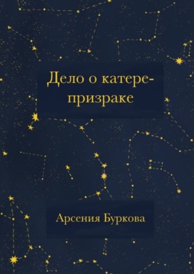 Дело о катере-призраке