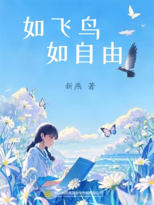 如飞鸟，如自由
