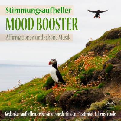 Mood Booster (Stimmungsaufheller) Affirmationen und schöne Musik - Gedanken aufhellen, Lebensmut wiederfinden - Positivität, Lebensfreude (Ungekürzt)