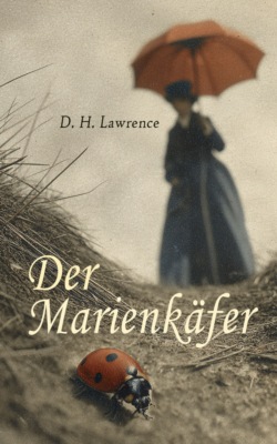 Der Marienkäfer