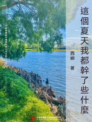 這個夏天我都幹了些什麼