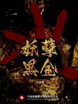 妖孽黑金