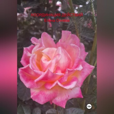 Координация действий