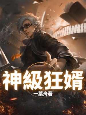 神級狂婿（全集）
