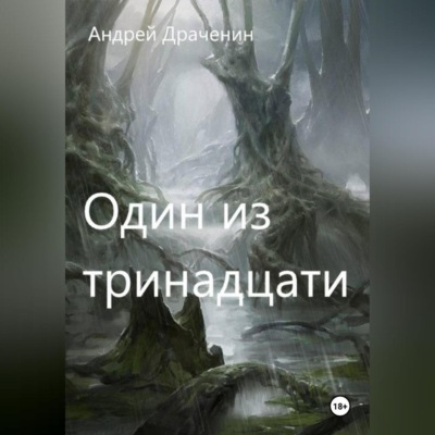 Один из тринадцати