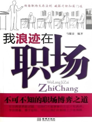 我浪迹在职场