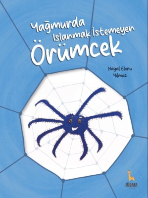 Yagmurda Islanmak Istemeyen Örümcek