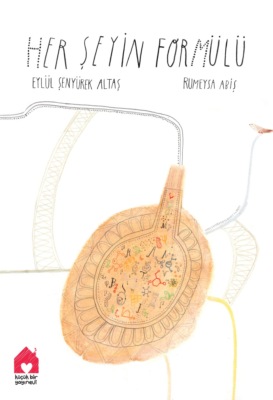 HER ŞEYİN FORMÜLÜ