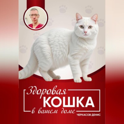 Здоровая кошка в вашем доме