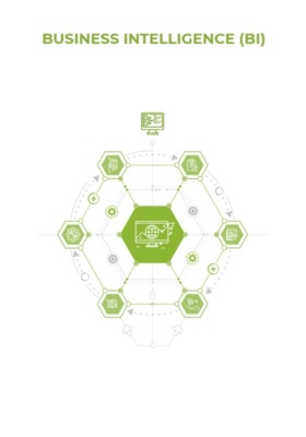 Business Intelligence (BI)