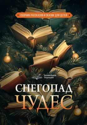 Волшебный переплёт. Снегопад чудес