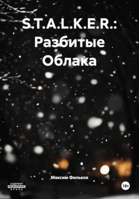 S.T.A.L.K.E.R.: Разбитые Облака
