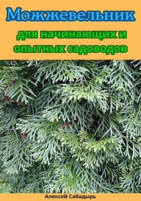 Можжевельник для начинающих и опытных садоводов