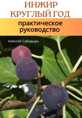 Инжир круглый год практическое руководство