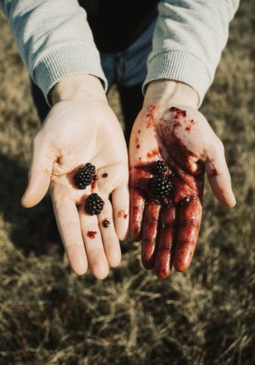 Ежевичный пирог