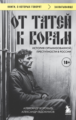 От татей к ворам. История организованной преступности в России