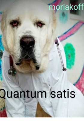 Quantum satis