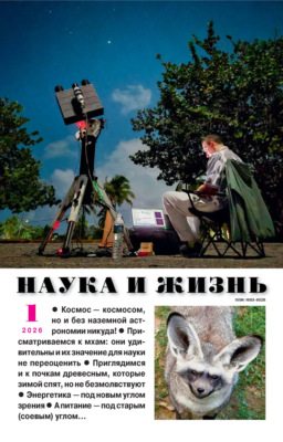 Наука и жизнь №01/2026