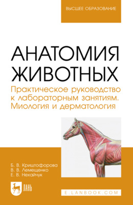 Анатомия животных. Практическое руководство к лабораторным занятиям. Миология и дерматология. Учебное пособие для вузов. 2-е издание, стеротипное
