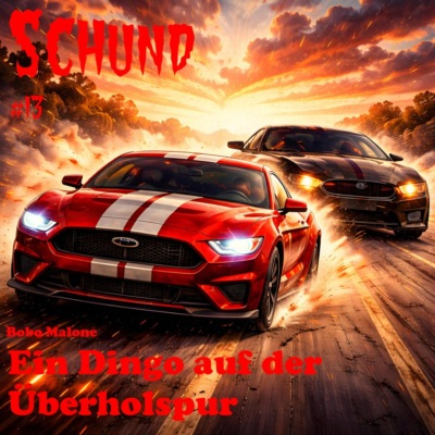 Ein Dingo auf der Überholspur