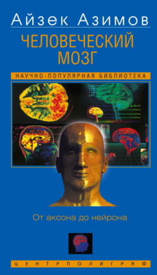 Человеческий мозг. От аксона до нейрона