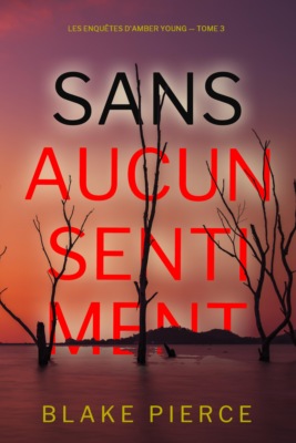 Sans aucun sentiment (Les Enquêtes d'Amber Young — tome 3)