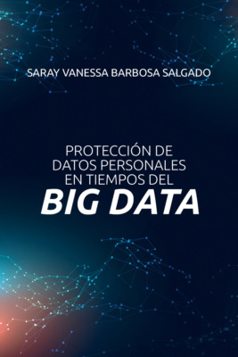 Protección de datos personales en tiempos del big data