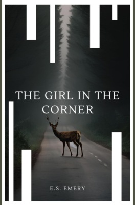 The Girl In The Corner