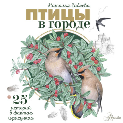 Птицы в городе. 25 историй в фактах