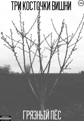 Три косточки вишни