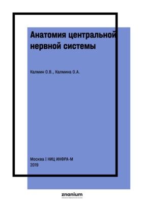 Анатомия центральной нервной системы