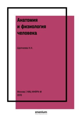 Анатомия и физиология человека