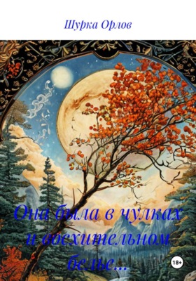 Она была в чулках и восхительном белье…