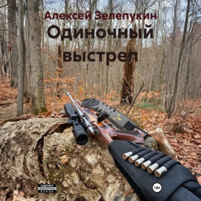 Одиночный выстрел