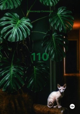 110