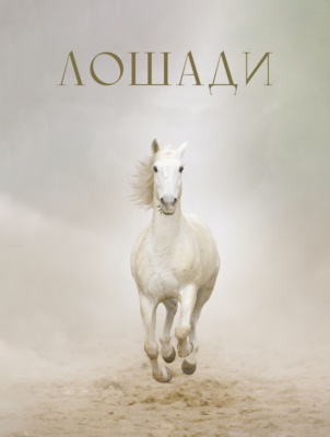 Лошади
