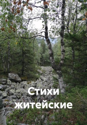 Стихи житейские