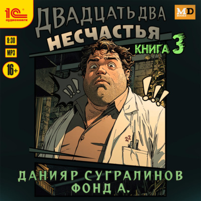 Двадцать два несчастья. Книга 3