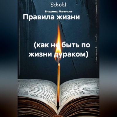 Правила жизни                                                                                                 (как не быть по жизни дураком)