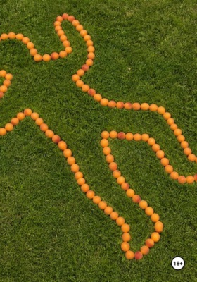 Гнилые абрикосы