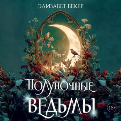 Полуночные ведьмы