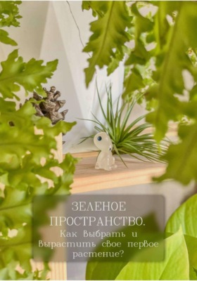 Зеленое пространство. Как выбрать и вырастить своё первое растение?