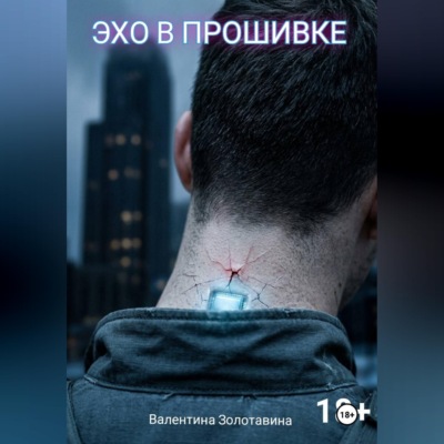 Эхо в прошивке