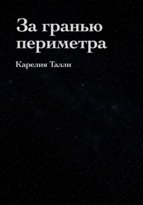За гранью периметра